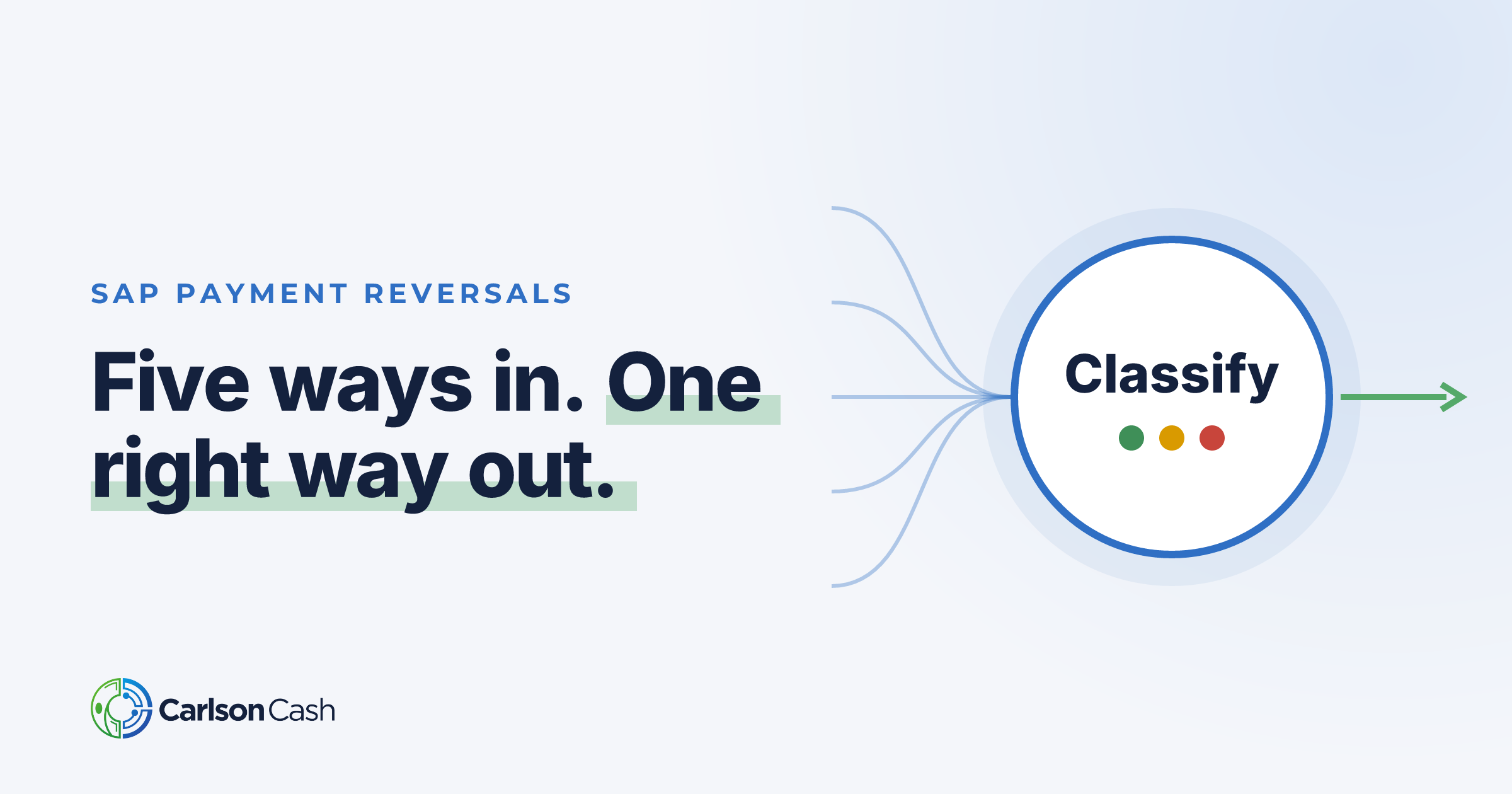 Taming SAP Payment Reversals: One Program for Every Payment Path